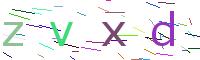 Verify Code
