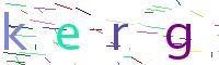 Verify Code