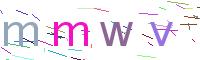 Verify Code