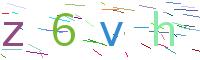 Verify Code