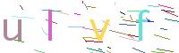 Verify Code