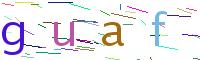 Verify Code