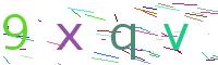 Verify Code