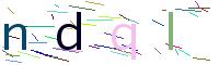 Verify Code