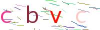 Verify Code