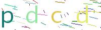 Verify Code
