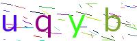Verify Code