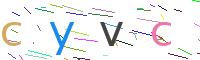 Verify Code