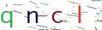 Verify Code
