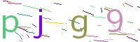 Verify Code