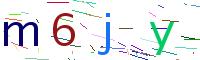 Verify Code