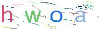 Verify Code