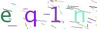Verify Code