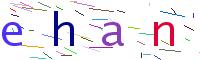 Verify Code