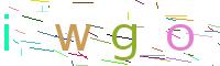 Verify Code