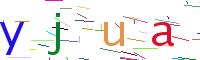 Verify Code