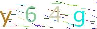 Verify Code