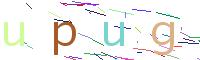 Verify Code