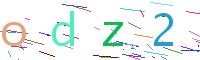 Verify Code