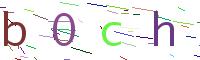 Verify Code