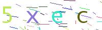 Verify Code