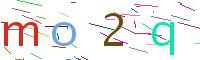 Verify Code