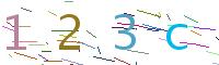 Verify Code