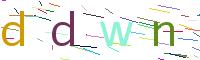 Verify Code