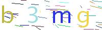 Verify Code