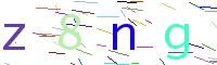 Verify Code