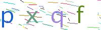 Verify Code
