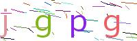 Verify Code