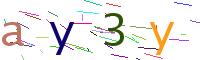 Verify Code