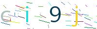 Verify Code