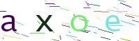 Verify Code