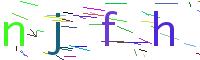 Verify Code