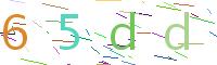 Verify Code