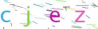 Verify Code