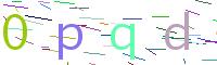 Verify Code