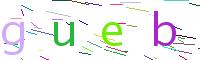 Verify Code