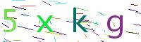 Verify Code