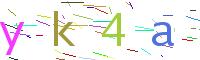 Verify Code
