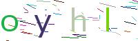 Verify Code