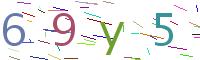 Verify Code