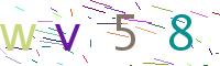 Verify Code
