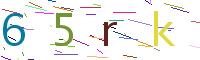 Verify Code