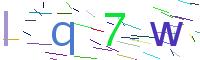 Verify Code