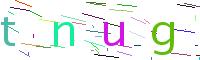 Verify Code