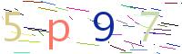 Verify Code