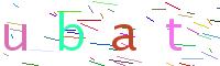 Verify Code
